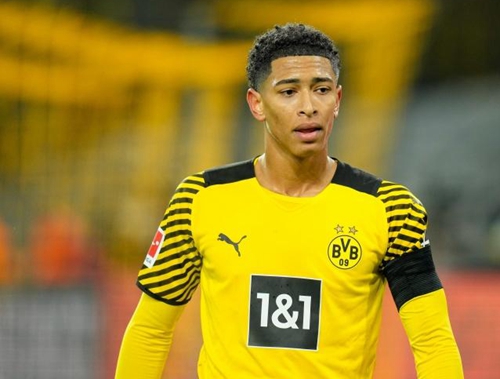 的瑕疵以及 的瑕疵以及