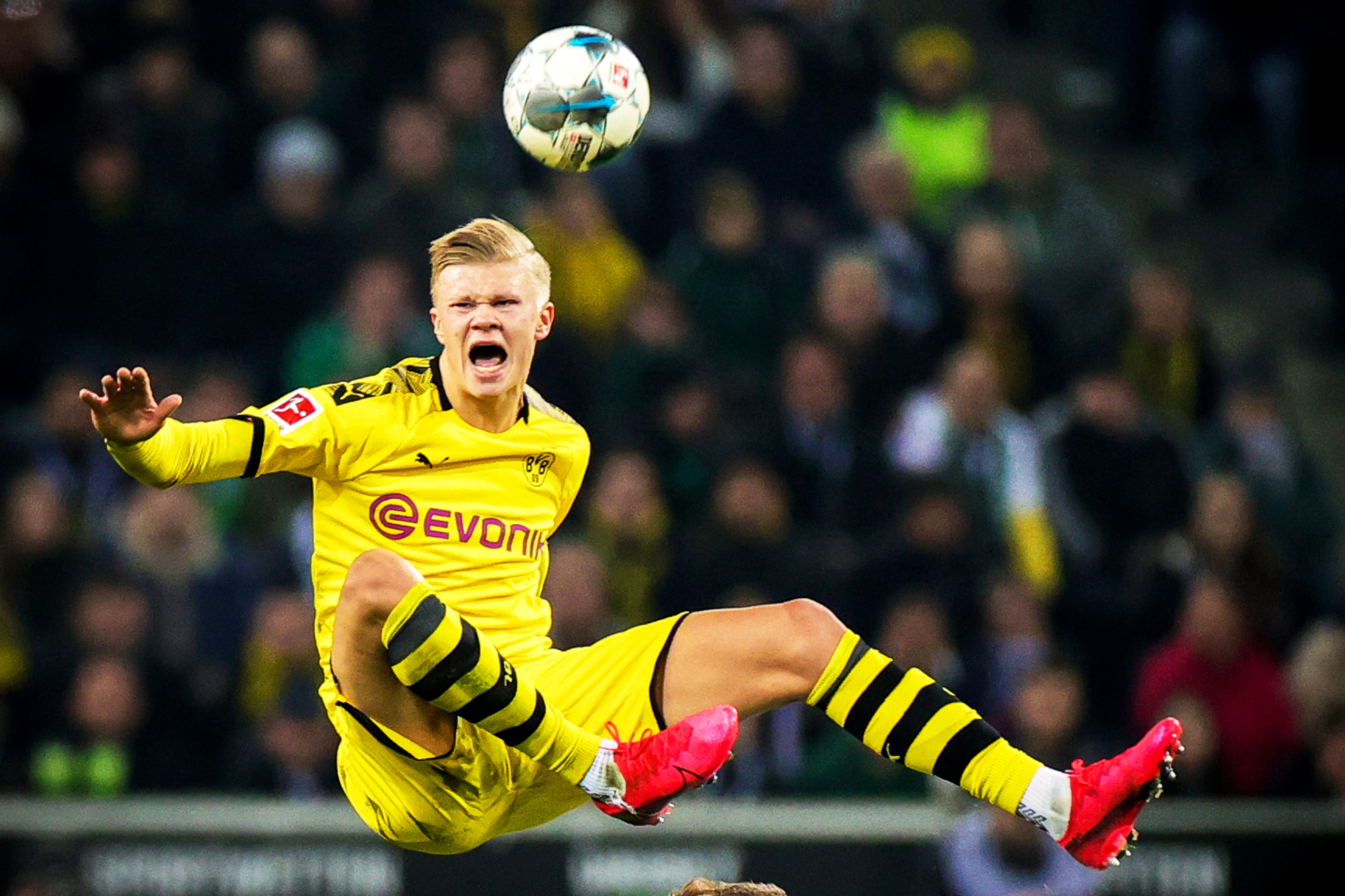 理性应当让 理性应当让