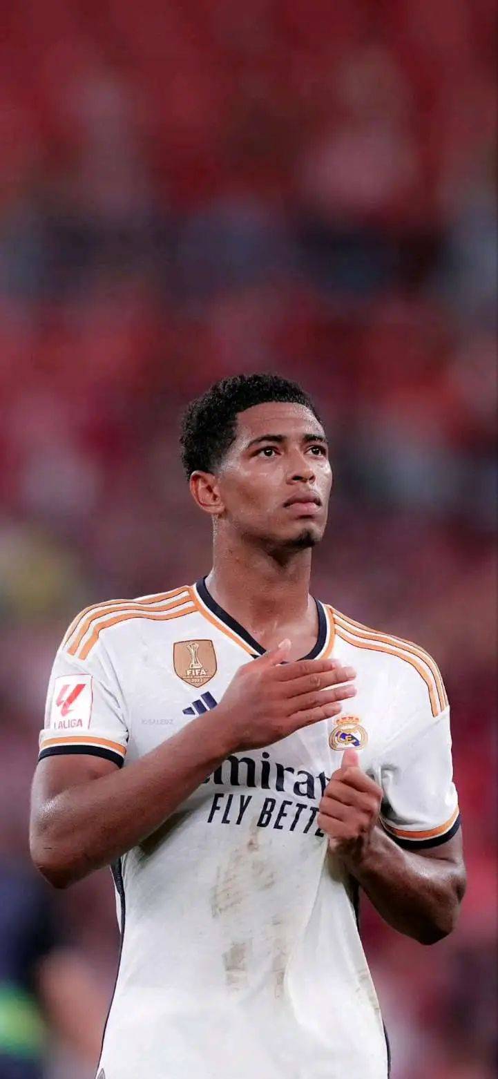 的生动样本 的生动样本